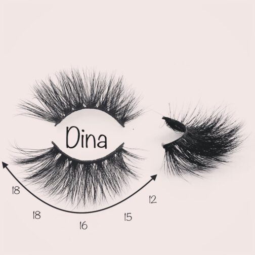 Dina